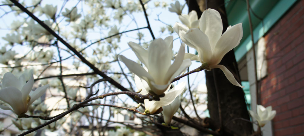 助川クリニック イメージ